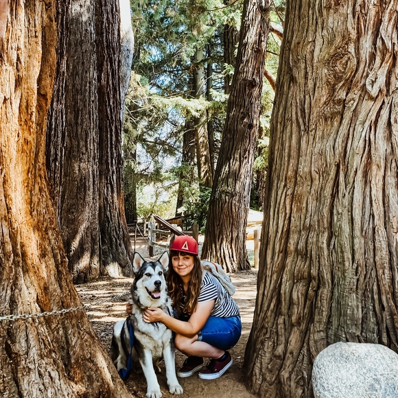 Meet your Posher, Devany - Picture 1 of 1